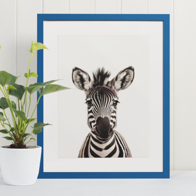 Baby Safari African Jungle Animals Zebra Poster (Von Creator hochgeladen)