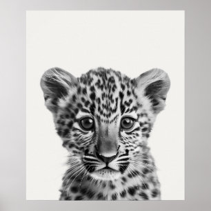 Baby-Safari Afrikanische Dschungeltiere Leopard Poster