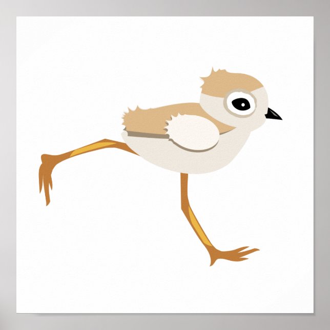Baby Sandpiper oder Pilotenpflaster Poster (Vorne)
