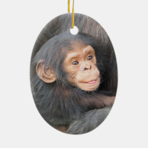 Baby Schimpanse Keramik Ornament