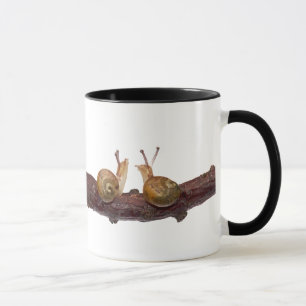 Baby-Schnecke-Gesprächs-Tasse Tasse