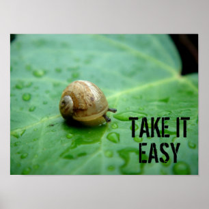 Baby-Schnecke Poster