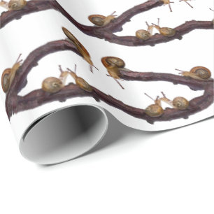 Baby-Schnecke-Raserei-Packpapier Geschenkpapier