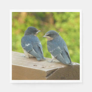 Baby-Schwalben Naturfotografie Serviette
