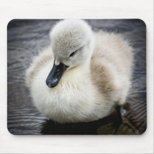 Baby-Schwan Cygnet Mousepad