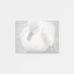 Baby-Schwan Cygnet Post-it Klebezettel