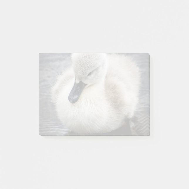Baby-Schwan| Cygnet Post-it Klebezettel (Vorderseite)