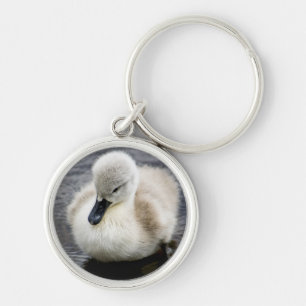 Baby-Schwan  Cygnet Schlüsselanhänger