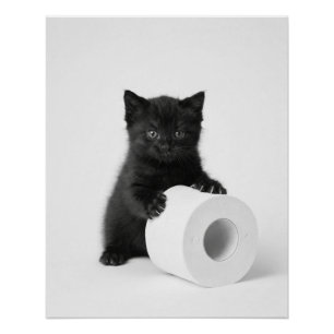 Baby Schwarzkätzchen bewacht Toilettenpapierrolle Poster