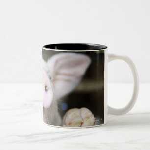 Baby-Schwein im Stift, Ferkel Zweifarbige Tasse