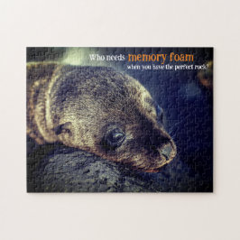 Baby Sea Lion