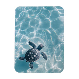 Baby Sea Turtle in klarem Wasser Magnet