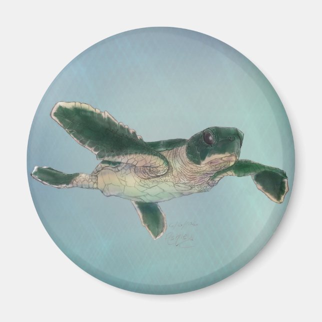 Baby Sea Turtle Magnet (Vorne)