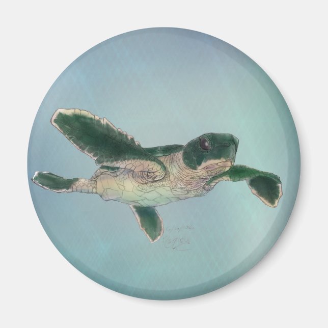 Baby Sea Turtle Magnet (Vorne)
