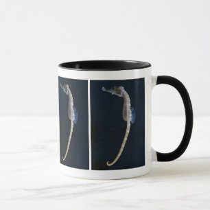 Baby-Seepferdchen-Tasse Tasse