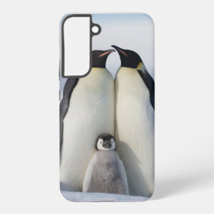Baby seine kalte Pinguin Samsung Galaxy Gehäuse Samsung Galaxy Hülle