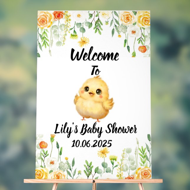Baby shower acrylique pour bébé poussin (Neutre)