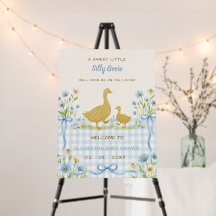 Baby Shower Garçon Silly Goose Fleurs Ruban Bleu