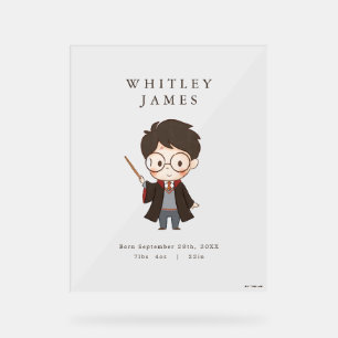 Baby shower Harry Potter simple