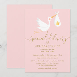 Baby-Shower-Sprinkle-Special-Delivery-Storch Rosa Einladung