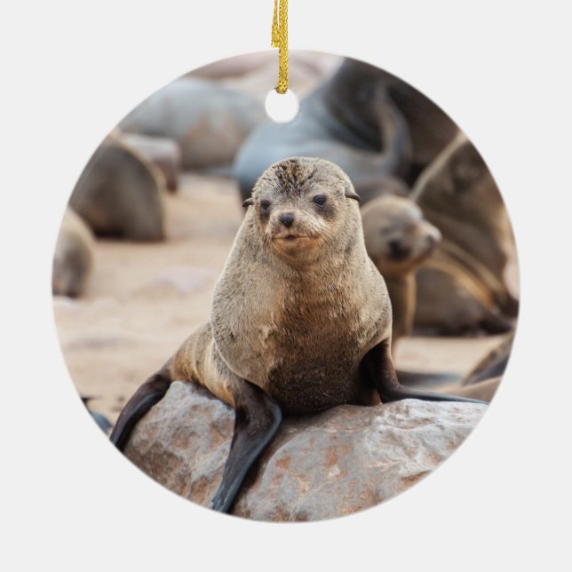 Baby Siegel auf Rock Keramik Ornament (Hinten)