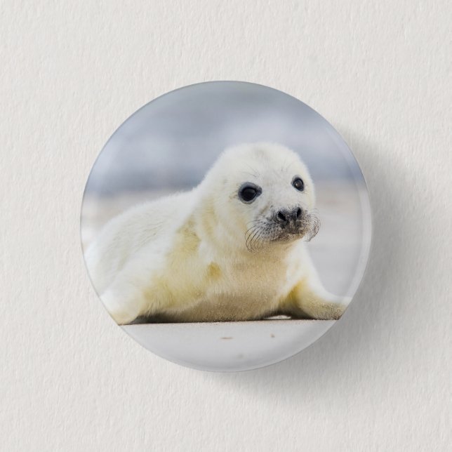 Baby-Siegel Getty Bild-| Button (Vorderseite)