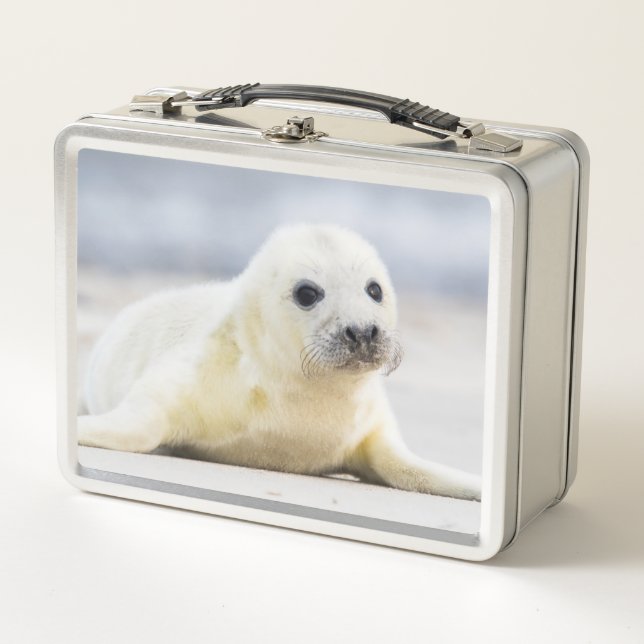 Baby-Siegel Getty Bild-| Metall Lunch Box (Vorderseite)