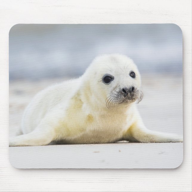 Baby-Siegel Getty Bild-| Mousepad (Vorne)