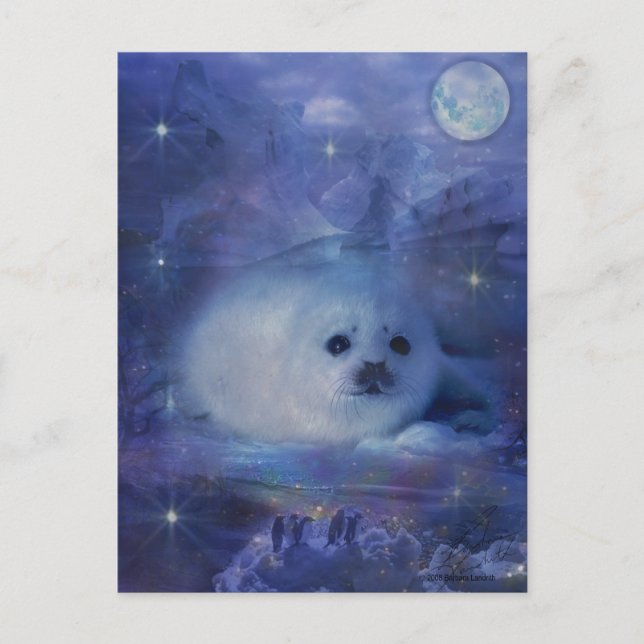 Baby Siegel on Ice - Beautiful Seascape Postkarte (Vorderseite)