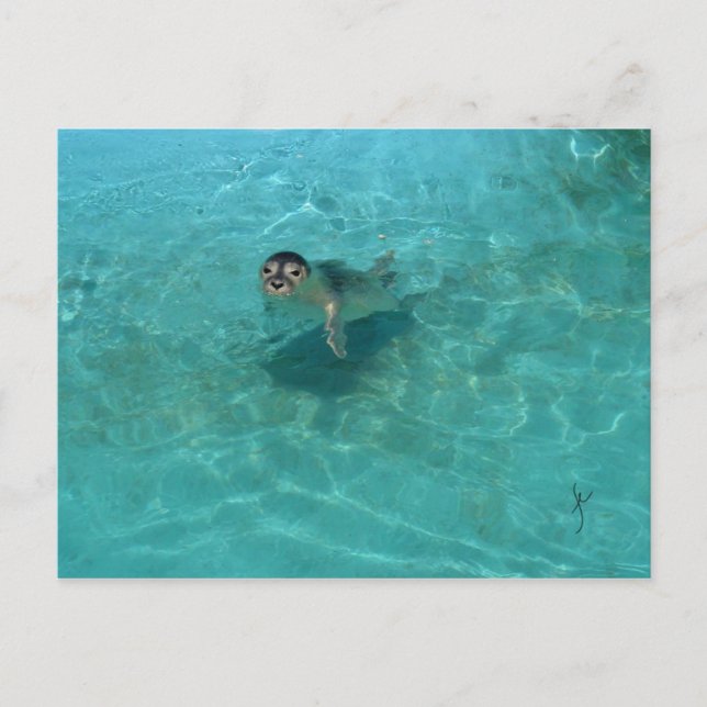 Baby Siegel Postkarte (Vorderseite)