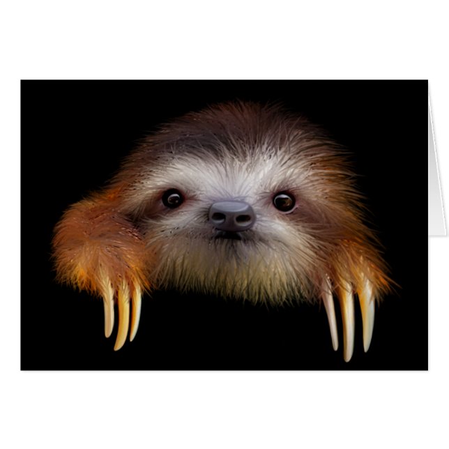 Baby Sloth (Vorderseite (Horizontal))