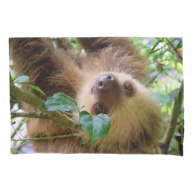 Baby Sloth Kissenbezug (Vorderseite)