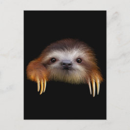 Baby Sloth Postkarte