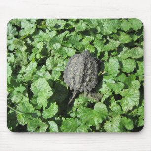 Baby Snapping Turtle Mousepad