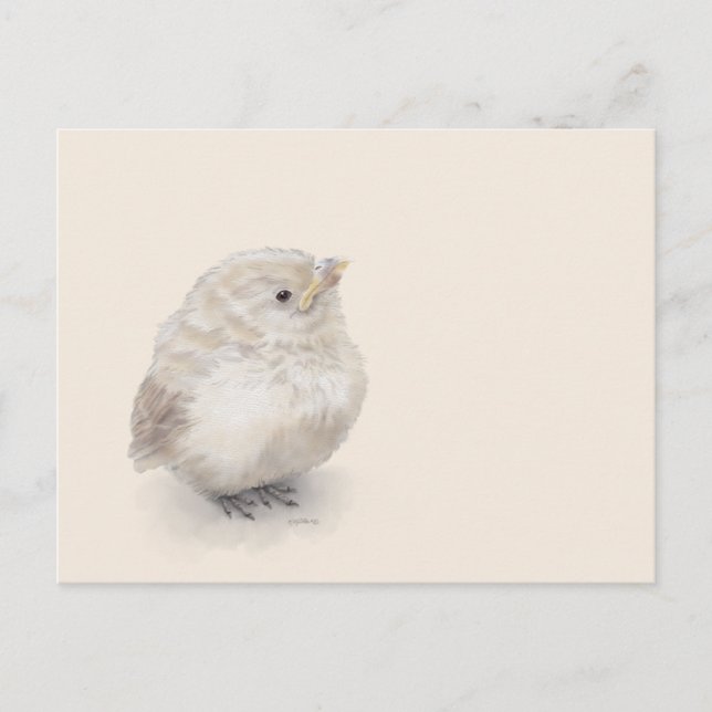 Baby Sparrow Digital Watercolor Postkarte (Vorderseite)