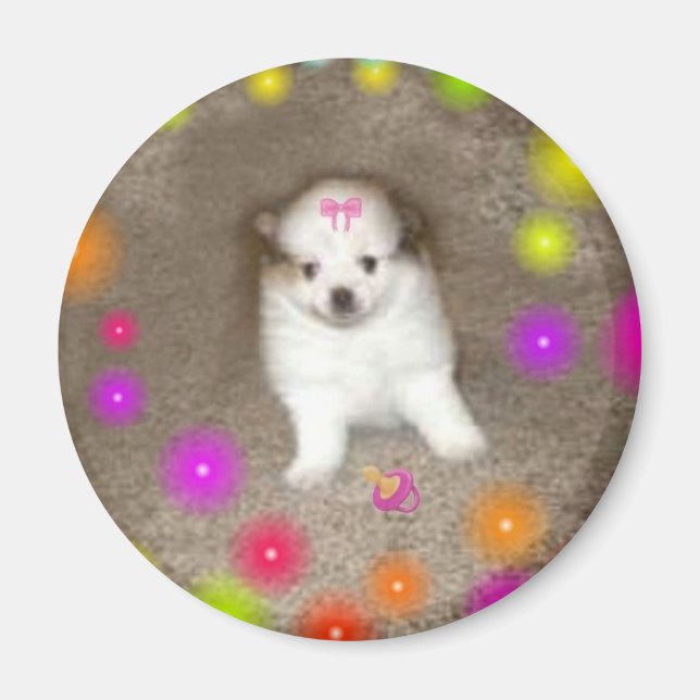 Baby Spitz Magnet (Vorne)