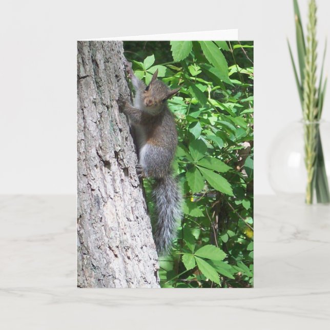 "Baby Squirrel Card" Karte (Vorderseite)