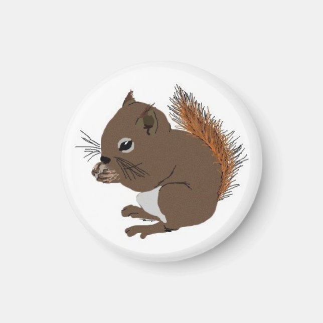 Baby Squirrel Magnet (Vorne)