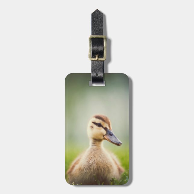 Baby-Stockenten-Ducken Gepäckanhänger (Vorderseite vertikal)