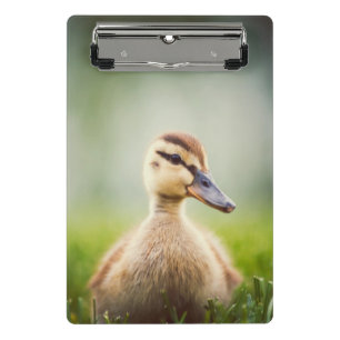 Baby-Stockenten-Ducken Mini Klemmbrett