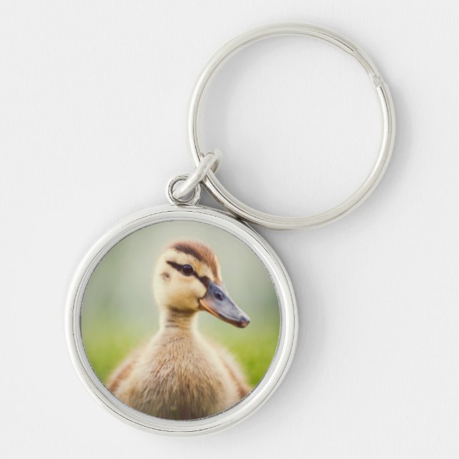 Baby-Stockenten-Ducken Schlüsselanhänger (Vorne)