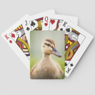 Baby-Stockenten-Ducken Spielkarten