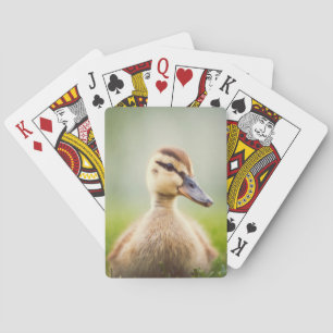 Baby-Stockenten-Ducken Spielkarten