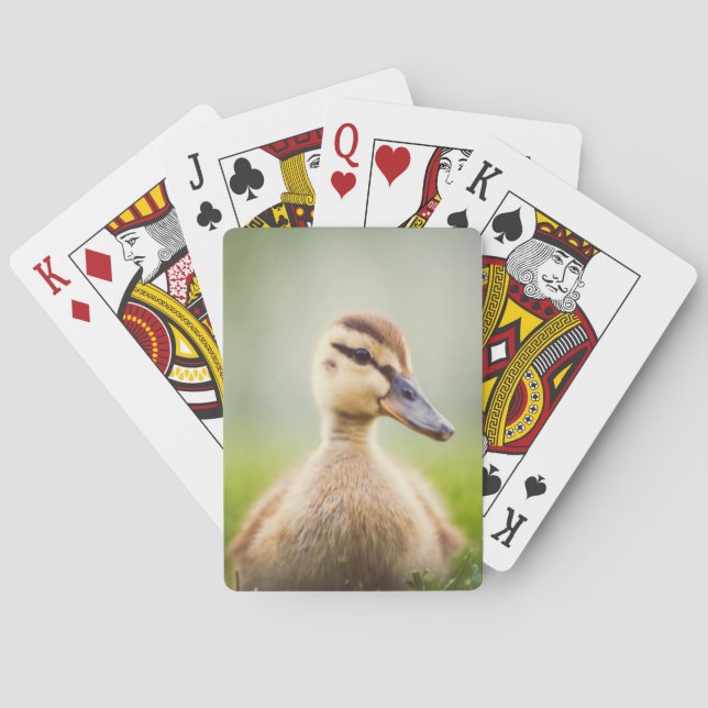 Baby-Stockenten-Ducken Spielkarten (Rückseite)