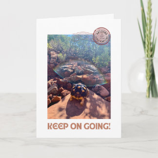 Baby Sulcata Tortoise Behielt auf Inspiration Karte