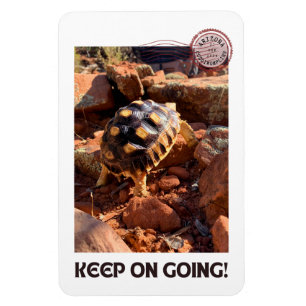 Baby Sulcata Wandern in Sedona Rote Felsen Arizona Magnet