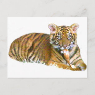 Baby Sumatran Cub_ Postkarte