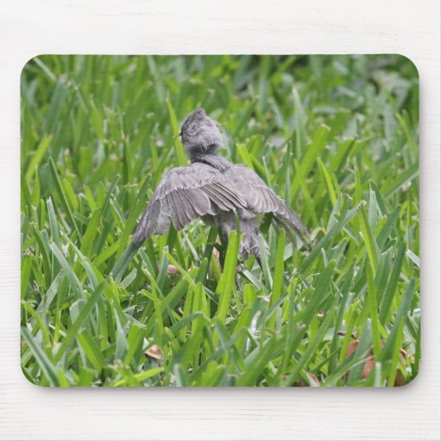 Baby Titmouse zu fliegen lernen Mousepad (Vorne)