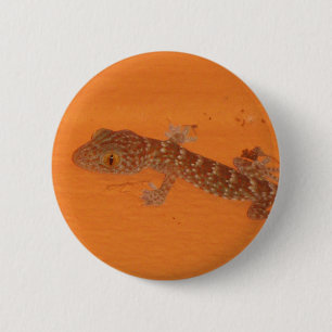 Baby Tokay Gecko Button