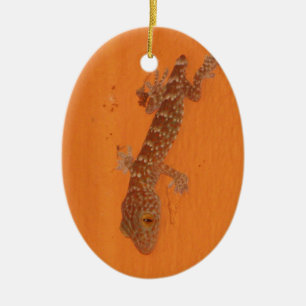 Baby Tokay Gecko Keramikornament